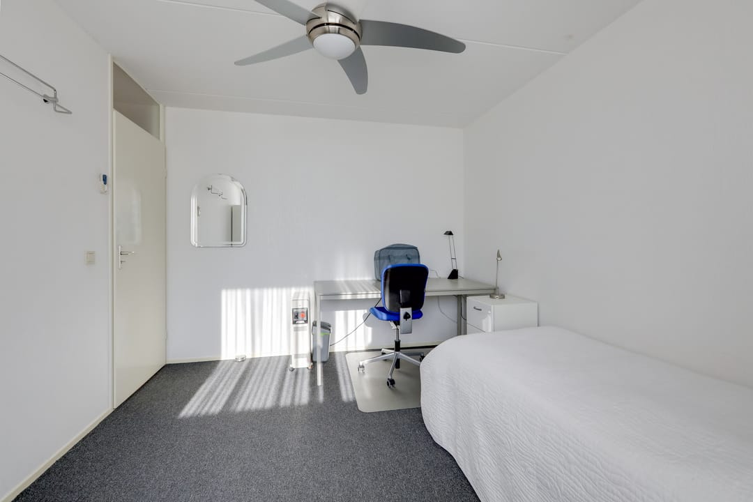 Foto 32 van de Plataan 98