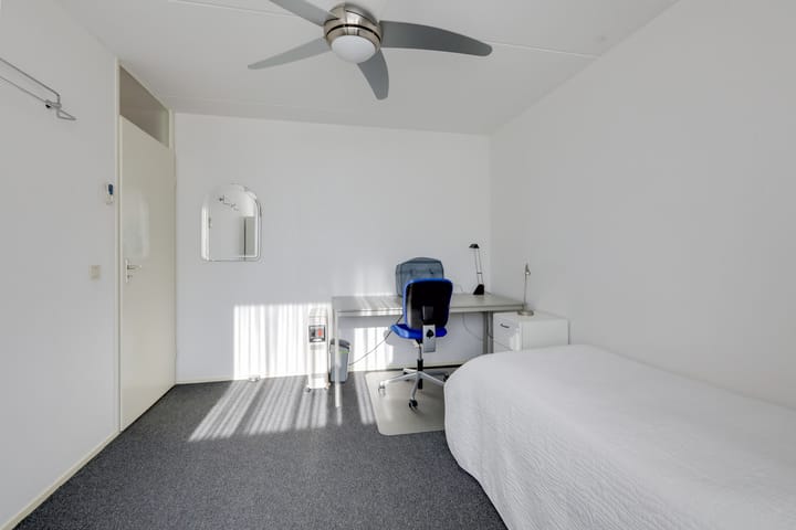 Foto 32 van de Plataan 98