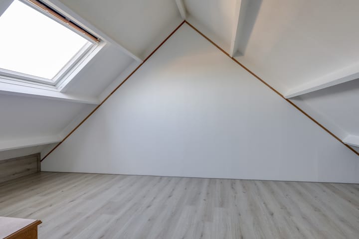 Foto 40 van de Plataan 98