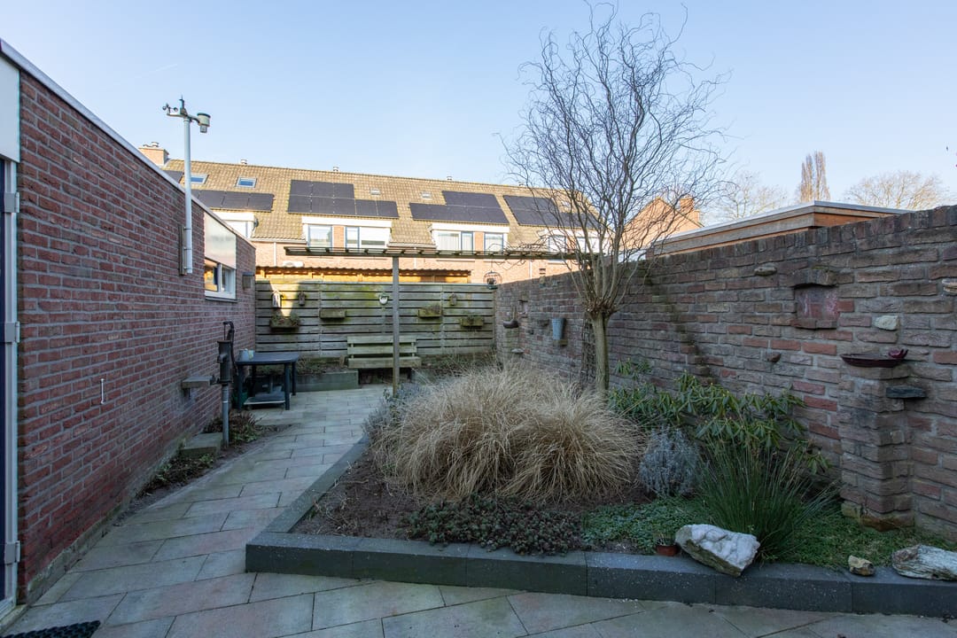 Foto 43 van de Plataan 98