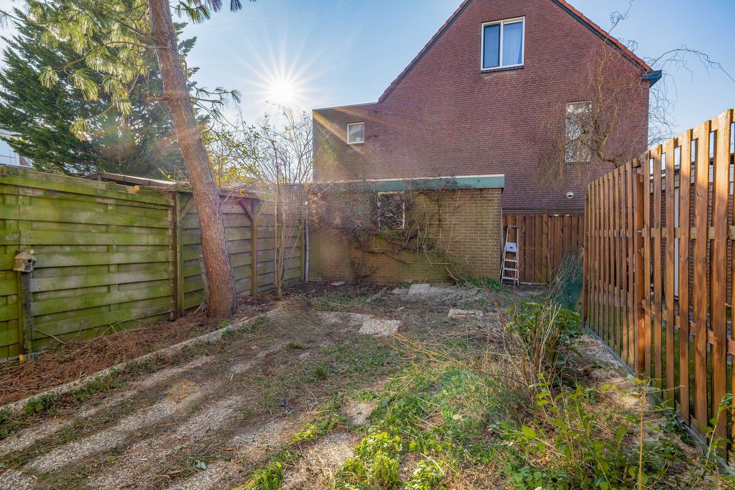 Foto 20 van Libelleveen 219