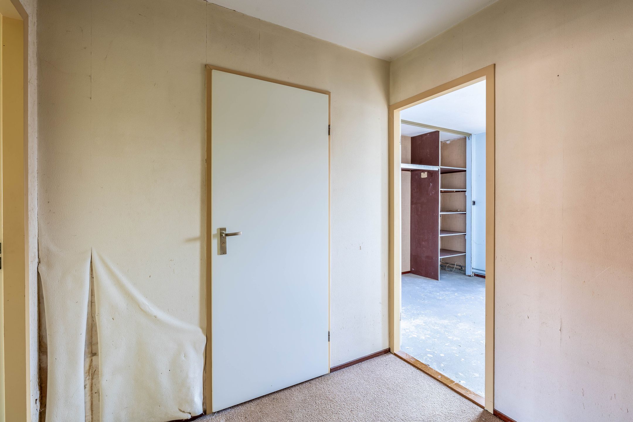 Foto 24 van Libelleveen 219