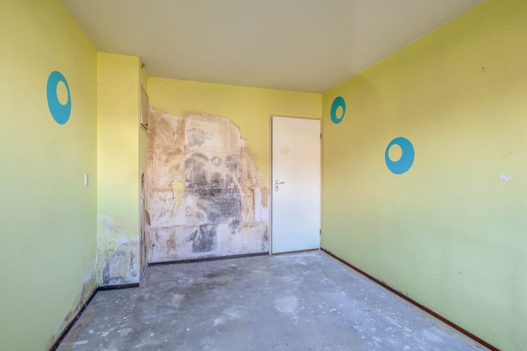 Foto 26 van Libelleveen 219