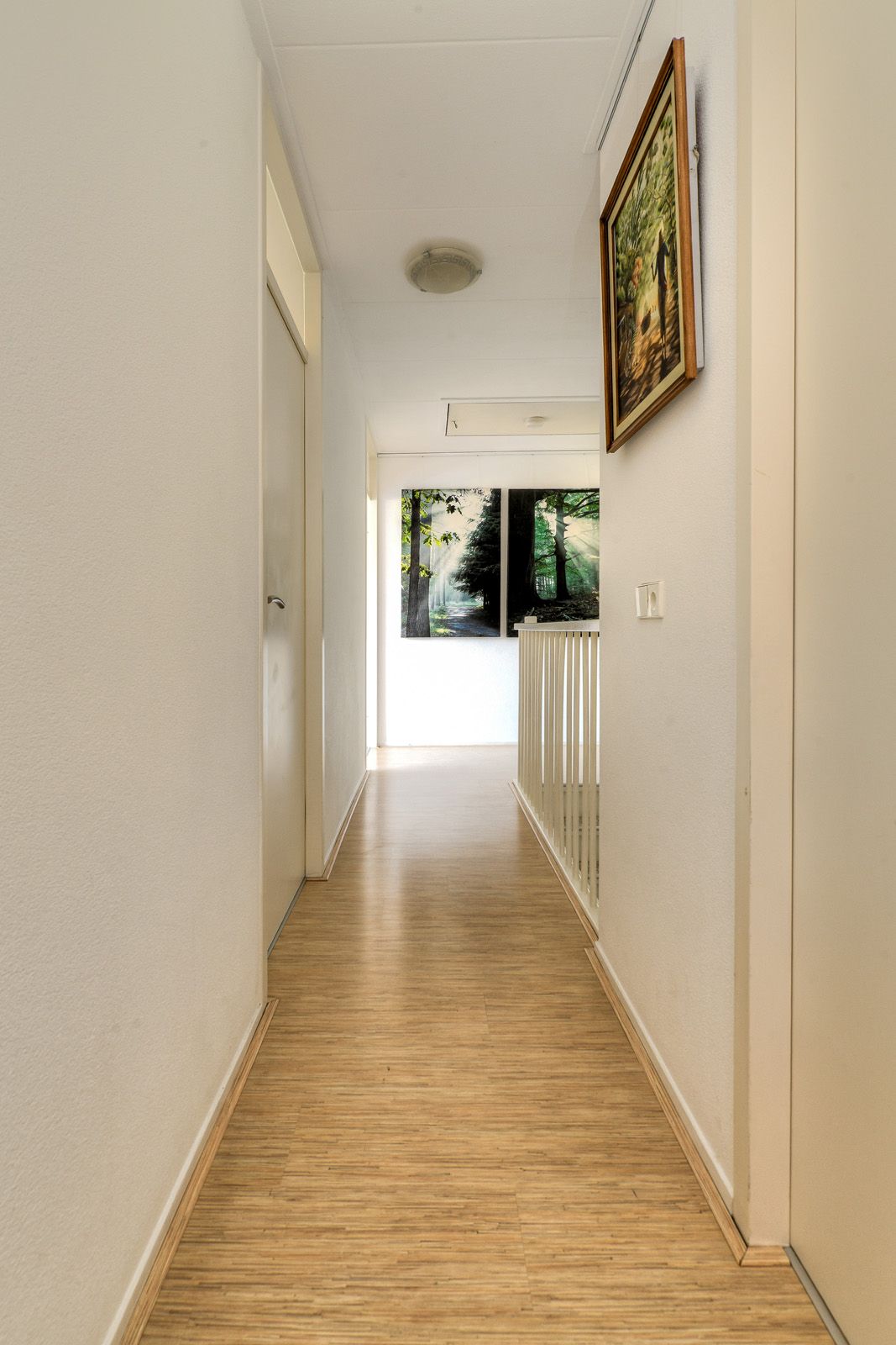 Foto 38 van Hooivorkstraat 39