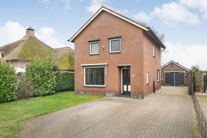 undefined main image