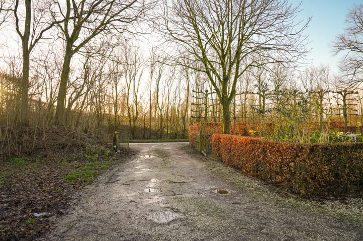 Foto 50 van Diepersestraat 1