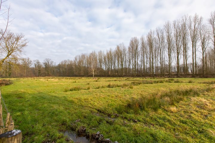 Foto 38 van Rietganssingel 21