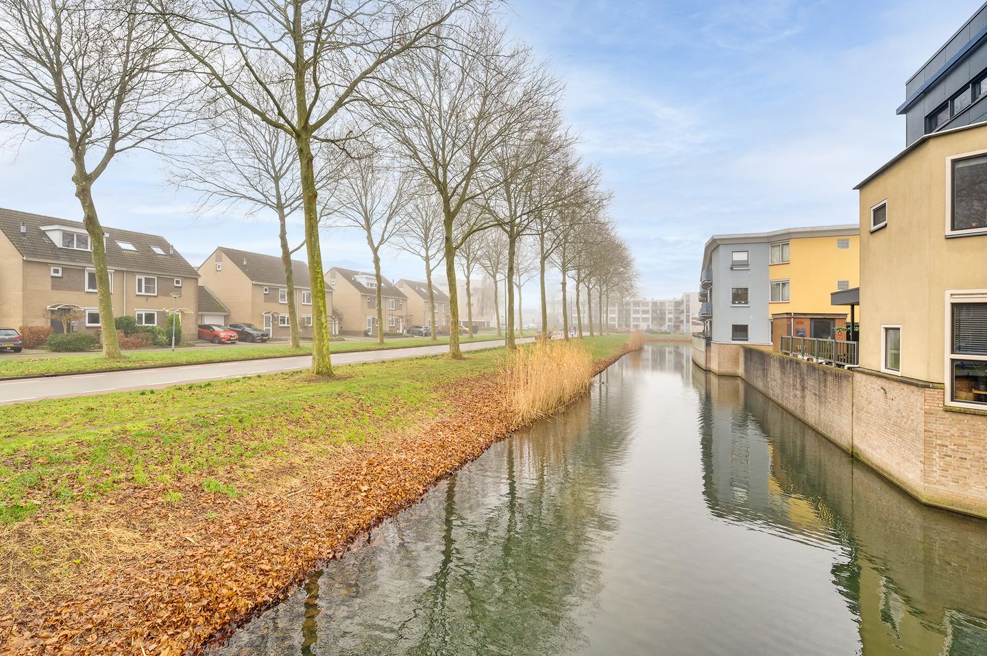 Foto 5 van Van Ravesteyn-erf 254