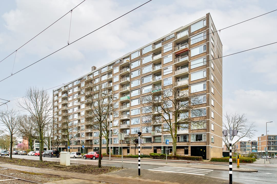 Foto 1 van Molenvliet 160