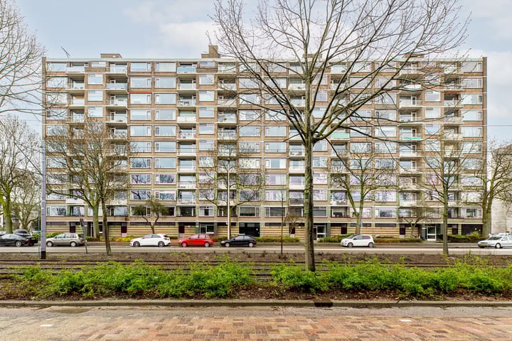 Foto 2 van Molenvliet 160