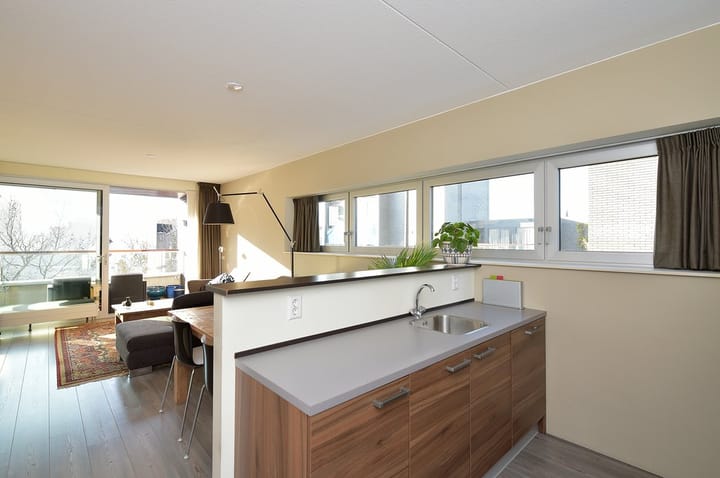 Photo 9 of Pieter Vreedeplein 54