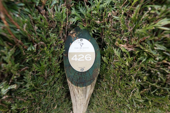 Foto 25 van Kievit 12-B426