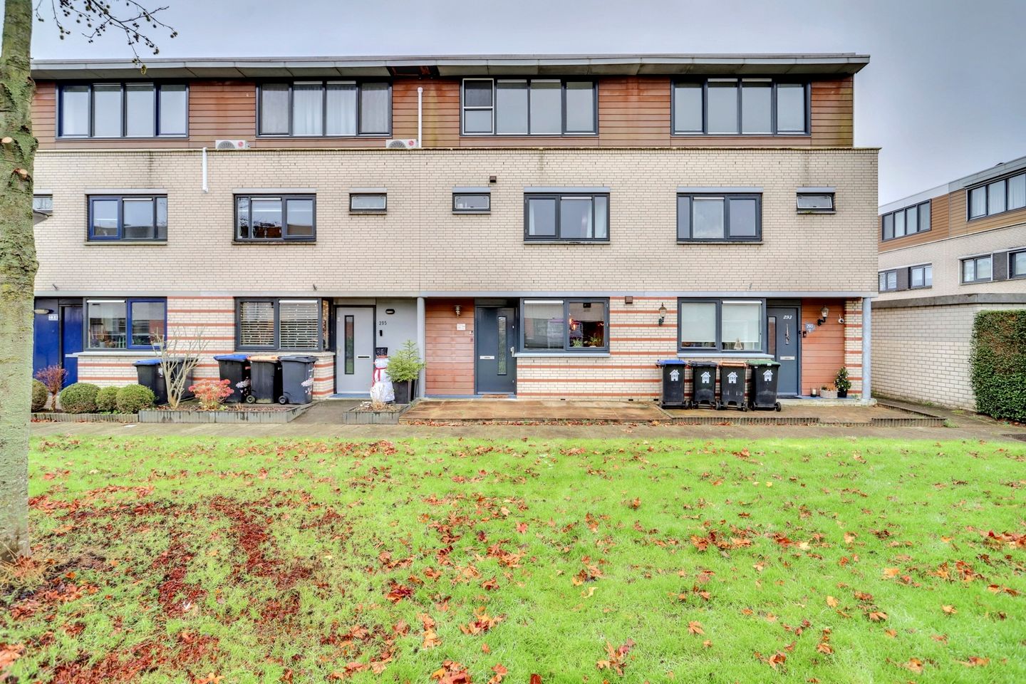 Foto 1 van Amazone 294