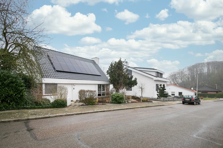 Photo 46 of Frans Halsstraat 8