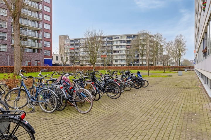 Foto 27 van Plein 1953 128