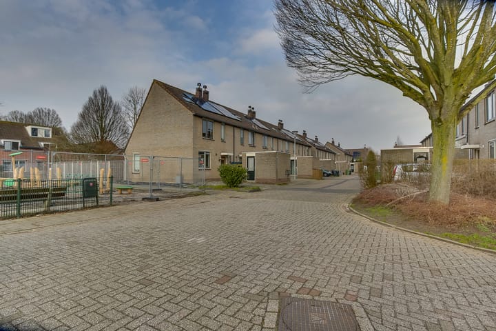 Foto 6 van Ganzebloem 9