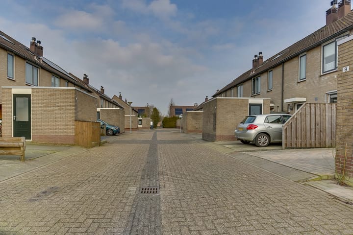 Foto 8 van Ganzebloem 9