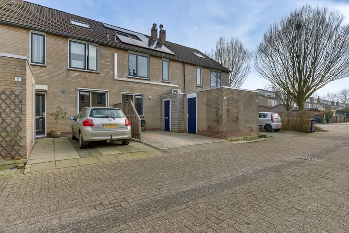 Foto 9 van Ganzebloem 9