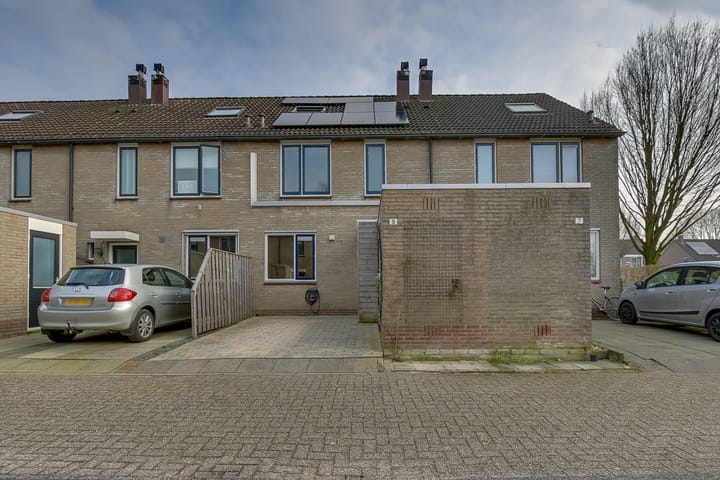 Foto 10 van Ganzebloem 9