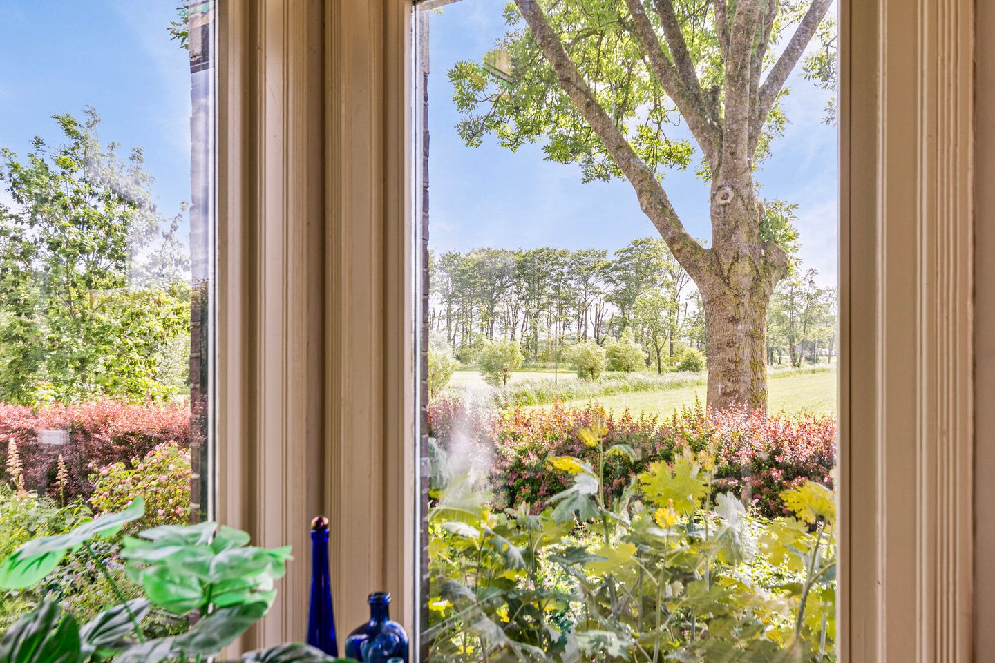 Foto 19 van Wierde 31