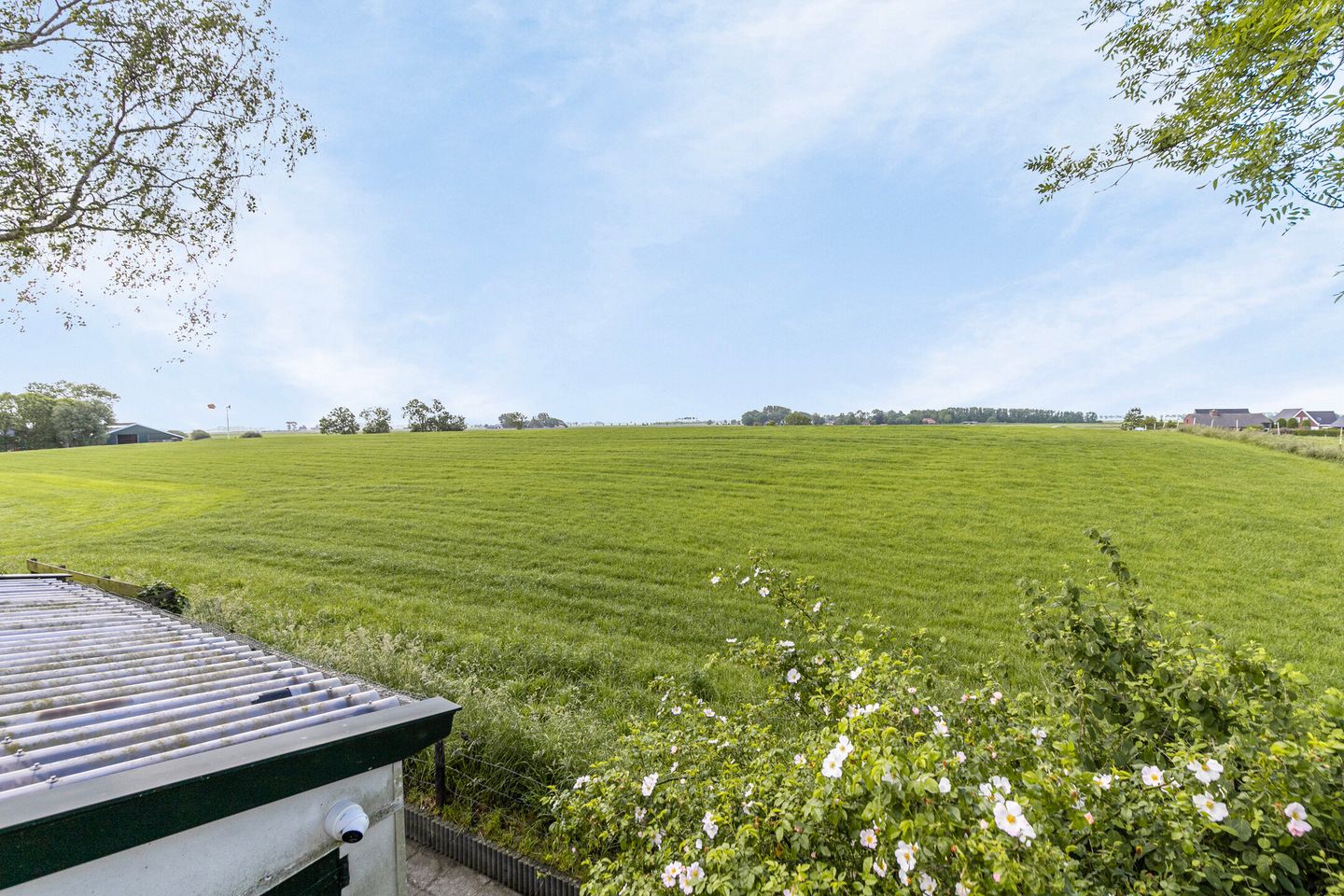 Foto 50 van Wierde 31