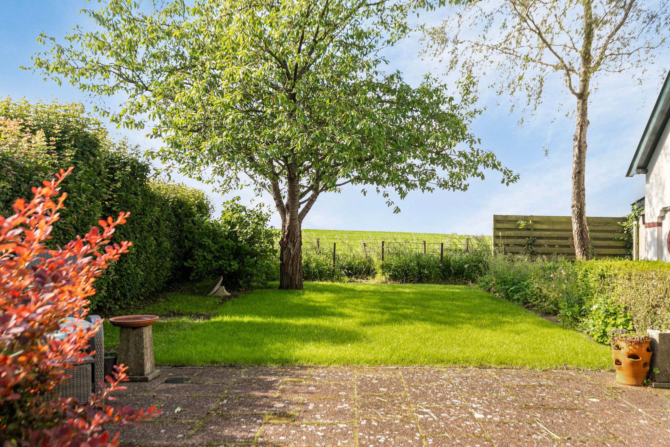 Foto 57 van Wierde 31