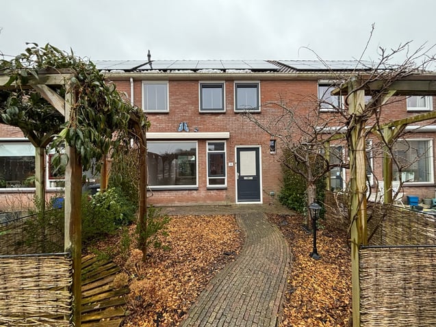 undefined main image