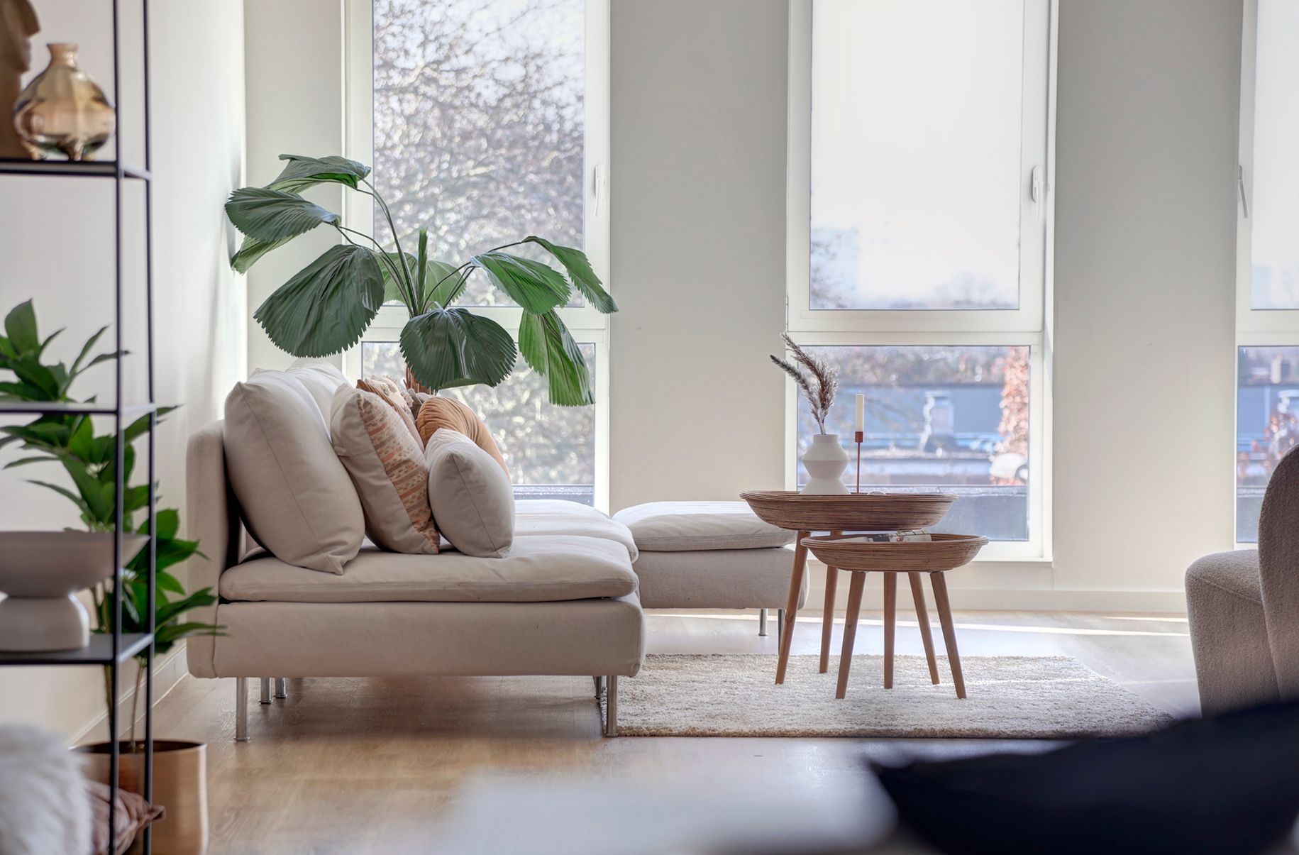 Photo 3 of IJsvogelpassage 39