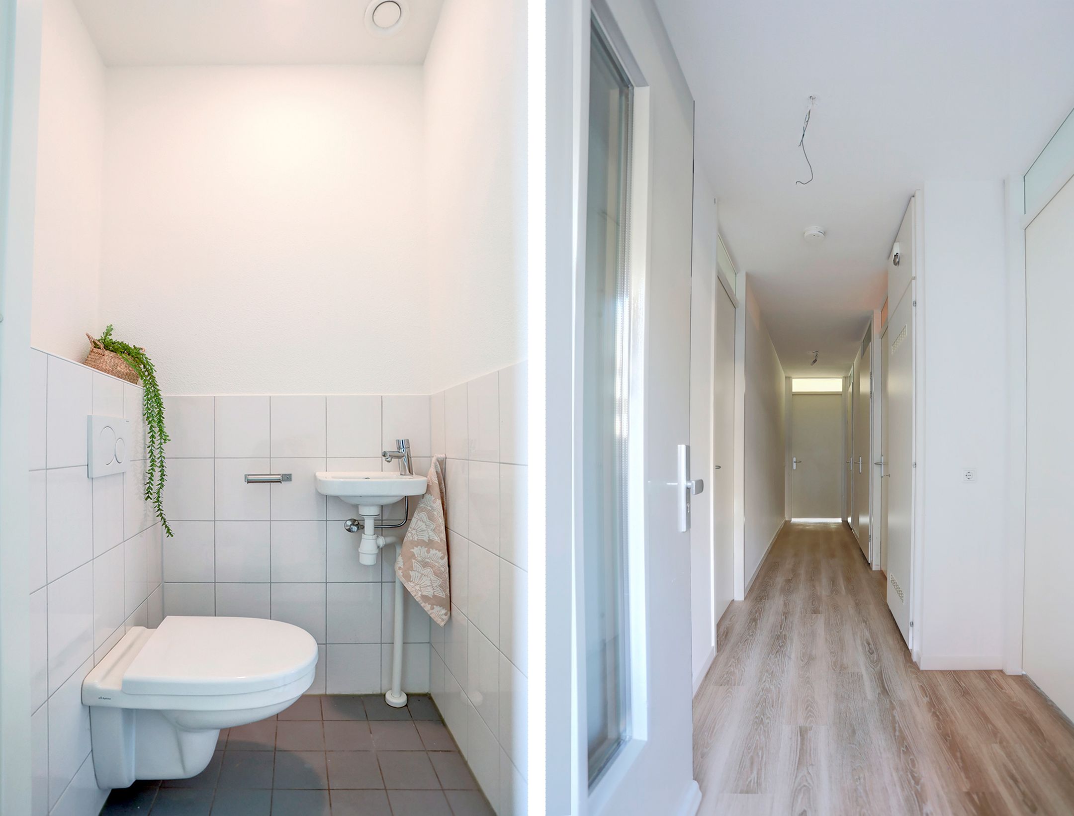 Photo 9 of IJsvogelpassage 39