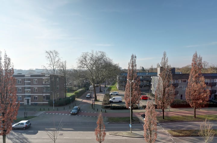 Foto 18 van IJsvogelpassage 39