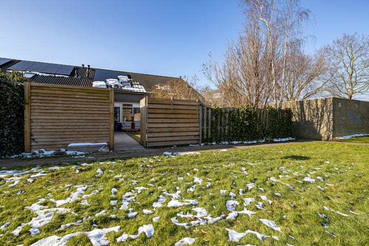 Foto 39 van Oberon 25