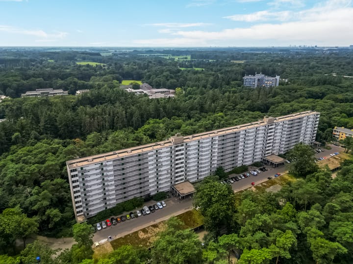 Foto 2 van Anna Paulownalaan 126