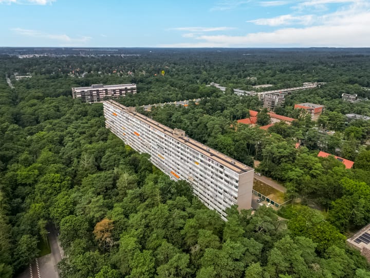 Foto 3 van Anna Paulownalaan 126