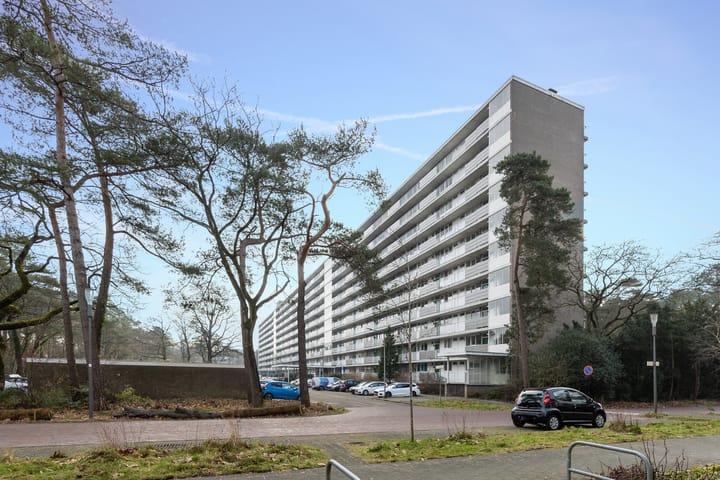 Foto 6 van Anna Paulownalaan 126