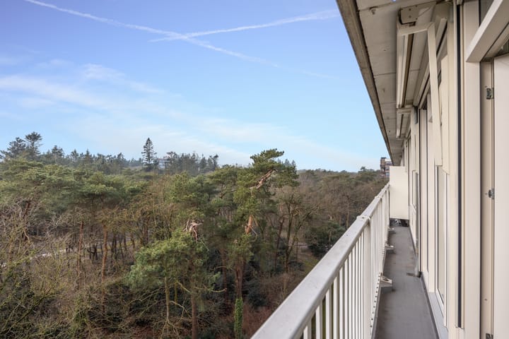 Foto 21 van Anna Paulownalaan 126