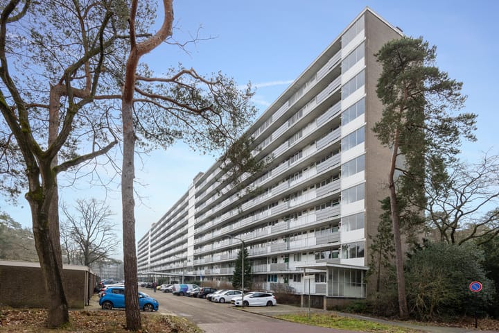 Foto 28 van Anna Paulownalaan 126