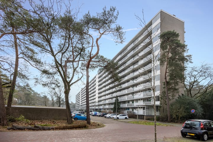 Foto 29 van Anna Paulownalaan 126