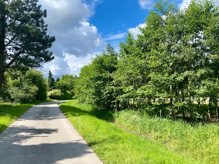 Foto 15 van Kraaienstraat