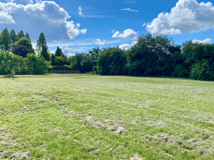 Foto 18 van Kraaienstraat