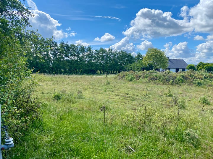 Foto 20 van Kraaienstraat