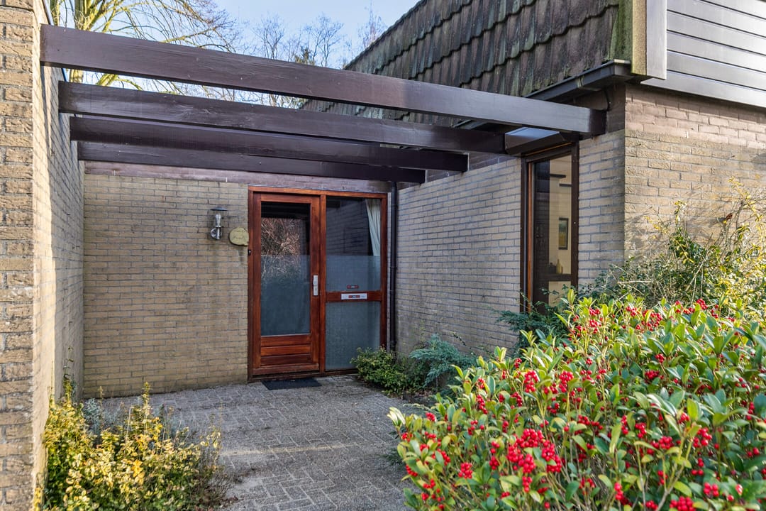 Foto 2 van Molenbosch 2