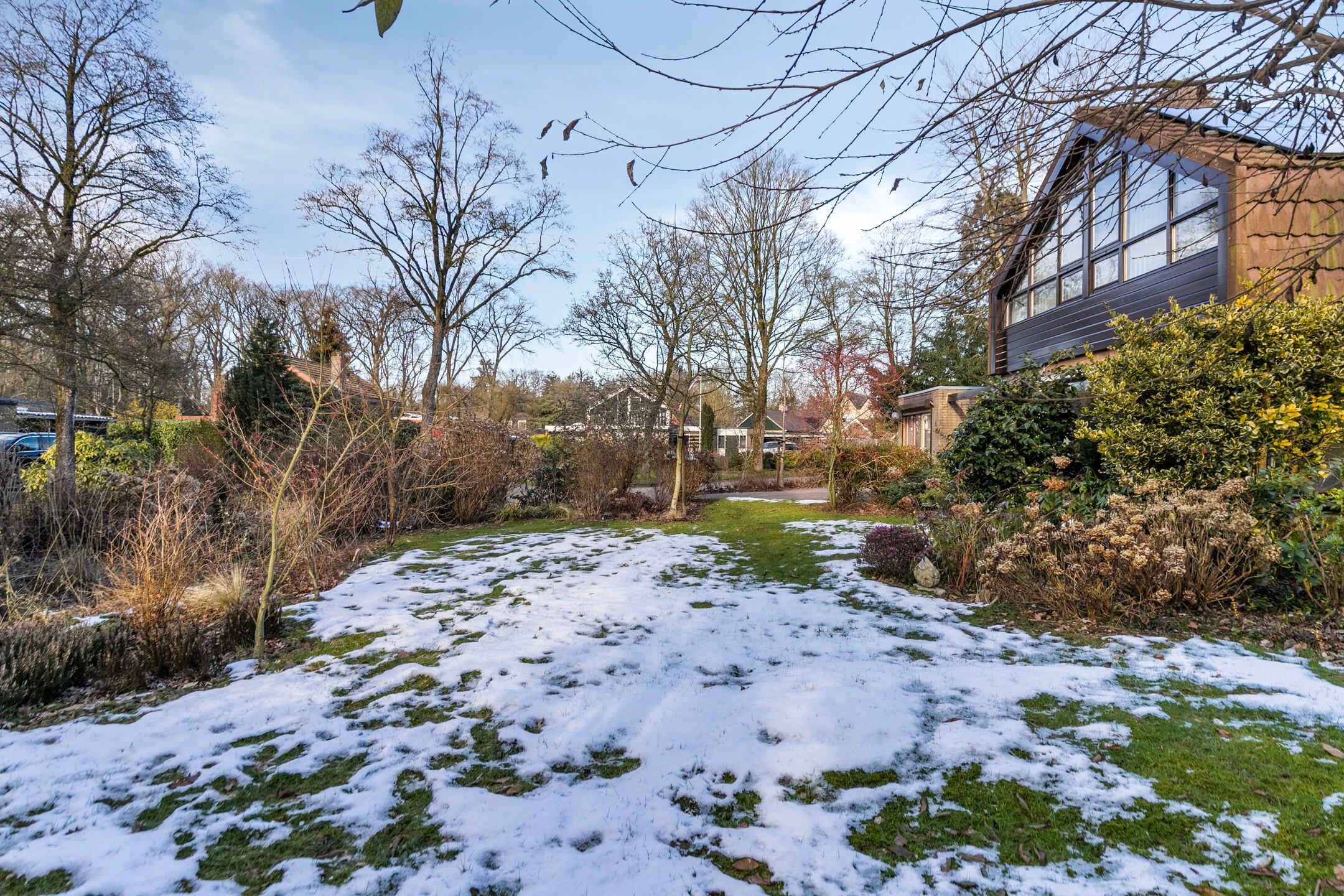 Foto 42 van Molenbosch 2