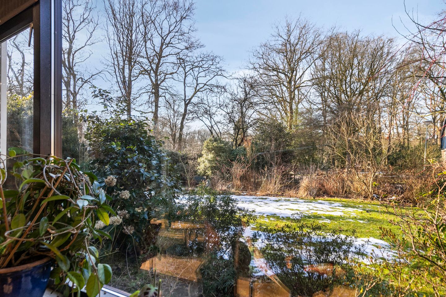 Foto 10 van Molenbosch 2