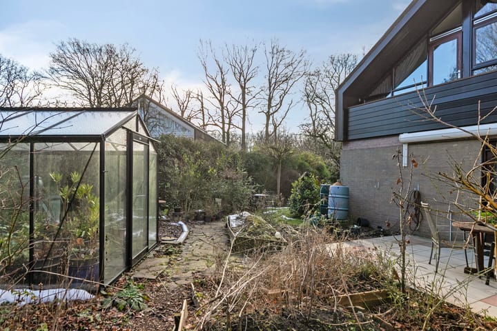 Foto 49 van Molenbosch 2