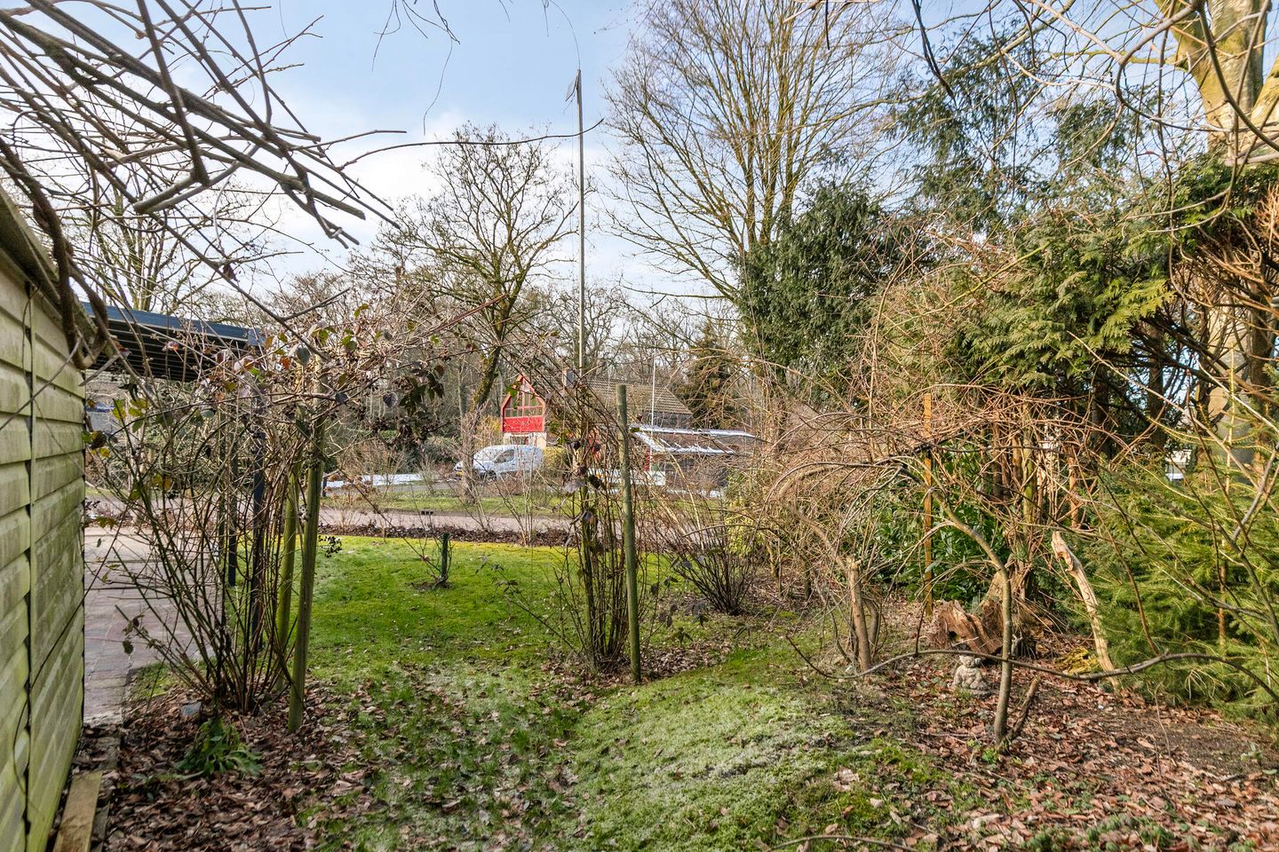 Foto 50 van Molenbosch 2