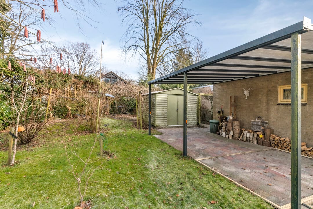 Foto 52 van Molenbosch 2