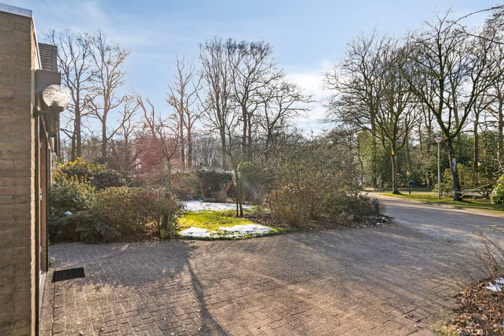 Foto 54 van Molenbosch 2