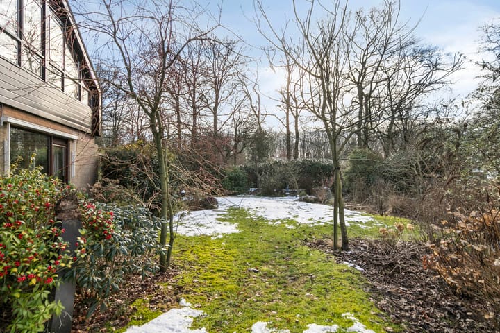 Foto 55 van Molenbosch 2