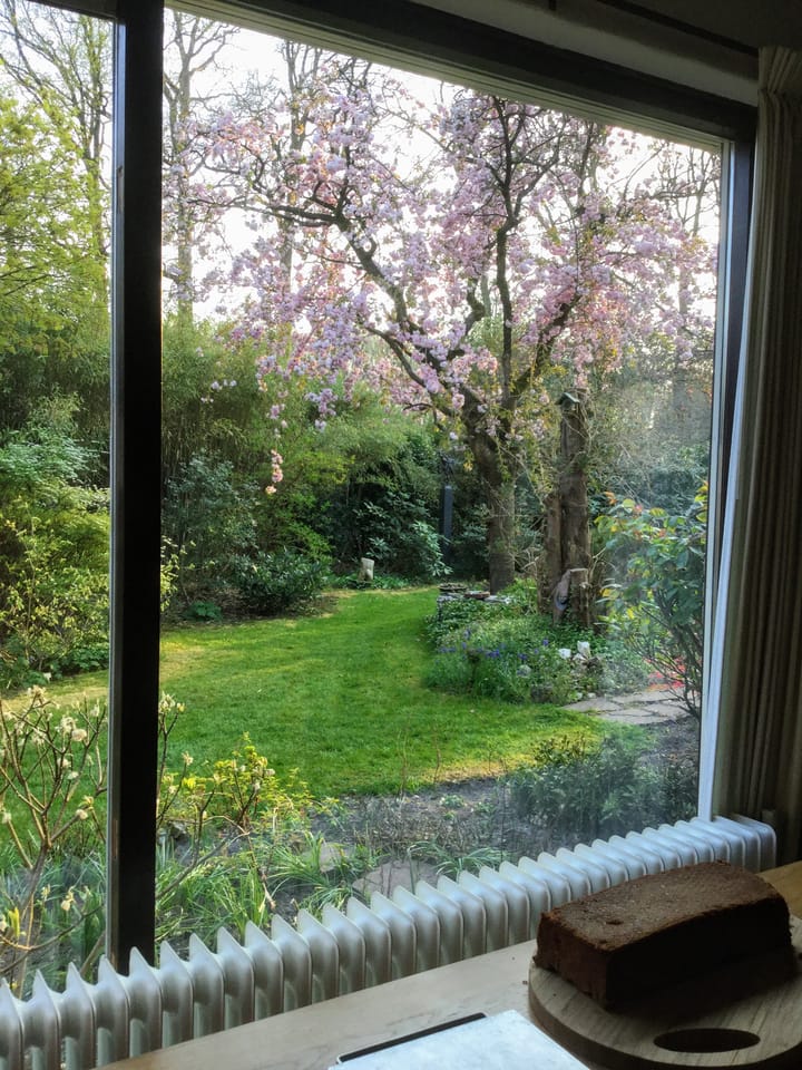 Foto 57 van Molenbosch 2