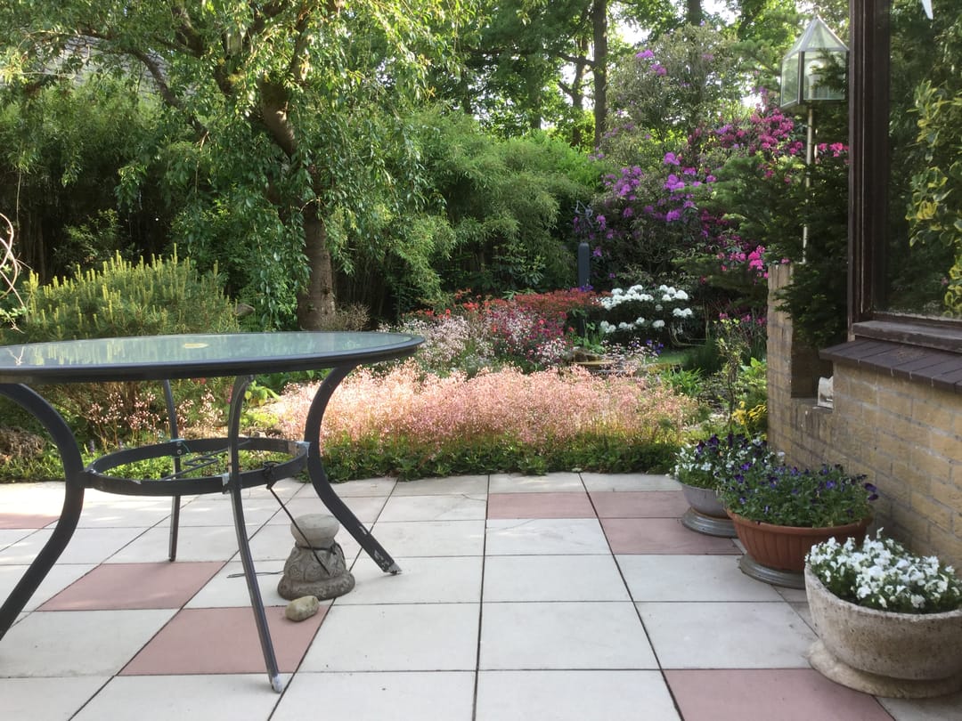 Foto 58 van Molenbosch 2